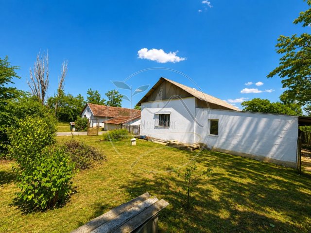 Eladó mezogazdasagi ingatlan, Gyulán 30.99 M Ft