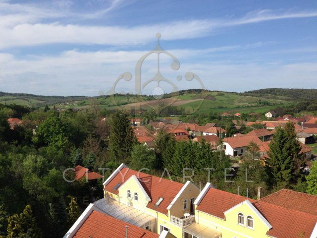 Eladó hotel, Dédestapolcsányban 110 M Ft, 18 szobás
