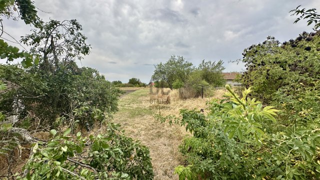 Eladó családi ház, Szihalmon 16.5 M Ft, 3 szobás