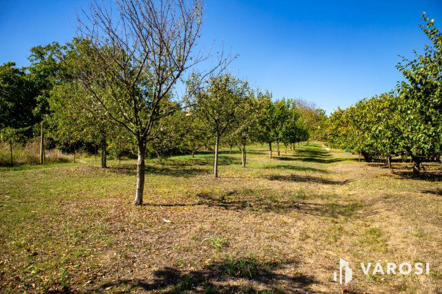 Eladó telek, Mohácson 5 M Ft, 2 szobás / költözzbe.hu