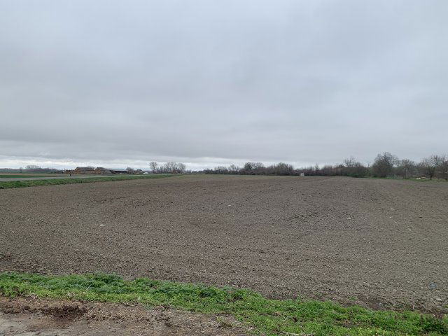 Eladó mezogazdasagi ingatlan, Bogyiszlón 6.8 M Ft