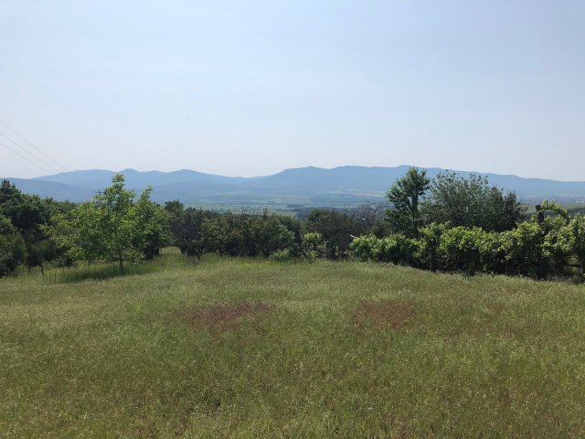 Eladó mezogazdasagi ingatlan, Mátraszőlősön 13.5 M Ft, 1 szobás