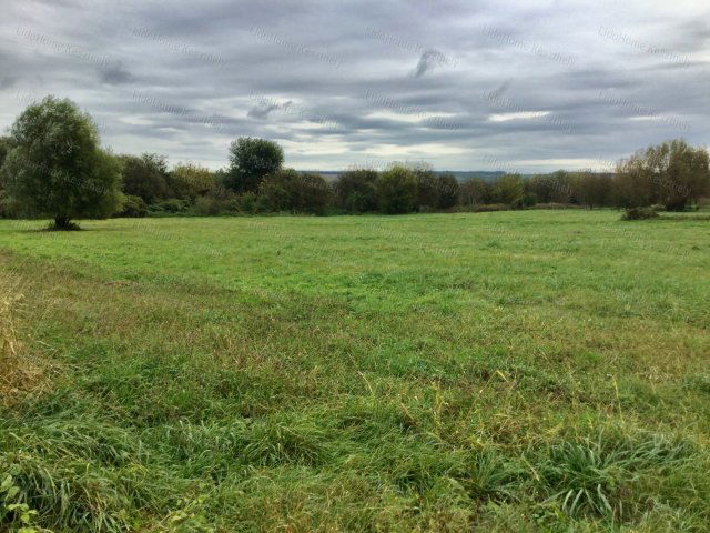 Eladó ipari ingatlan, Zalacsányon 250 M Ft / költözzbe.hu