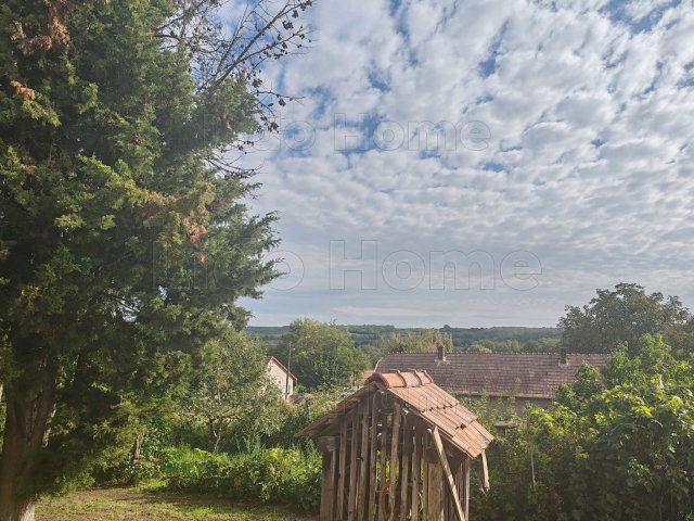 Eladó családi ház, Gyugyon 22 M Ft, 3+1 szobás