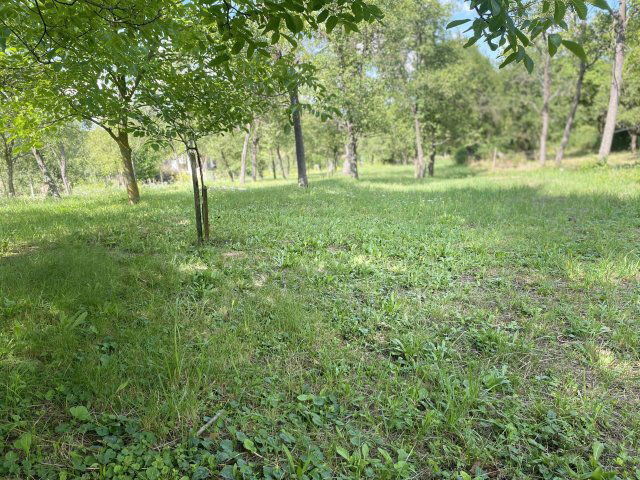 Eladó családi ház, Nagybörzsönyön 36 M Ft, 2+1 szobás