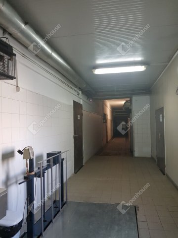 Eladó ipari ingatlan, Hódmezővásárhelyen 97 M Ft
