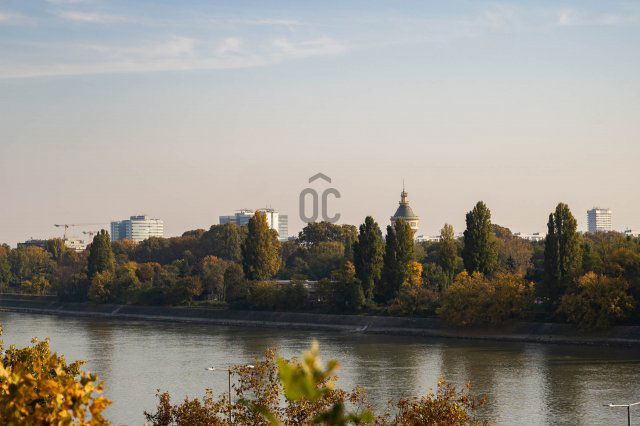 Kiadó téglalakás, albérlet, Budapesten, II. kerületben