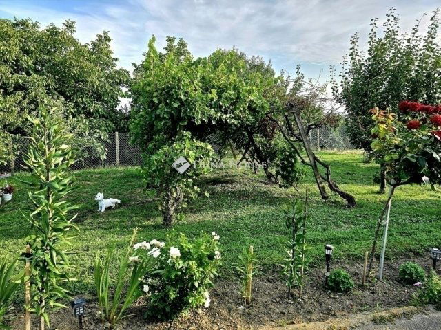 Eladó családi ház, Kővágószőlősön 85 M Ft, 4+2 szobás