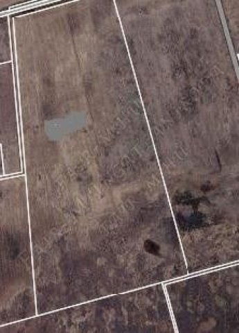 Eladó mezogazdasagi ingatlan, Székkutason 10.7 M Ft
