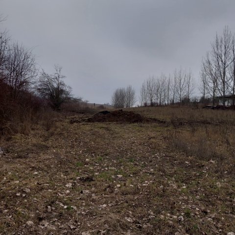 Eladó mezogazdasagi ingatlan, Szandán 50 M Ft, 3 szobás