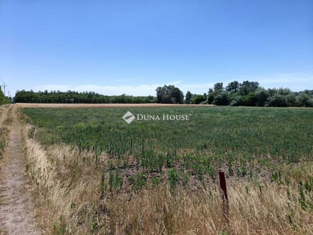 Eladó mezogazdasagi ingatlan, Szegeden 16 M Ft