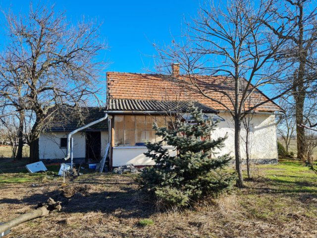 Eladó családi ház, Tiszasülyön 11.5 M Ft, 3 szobás