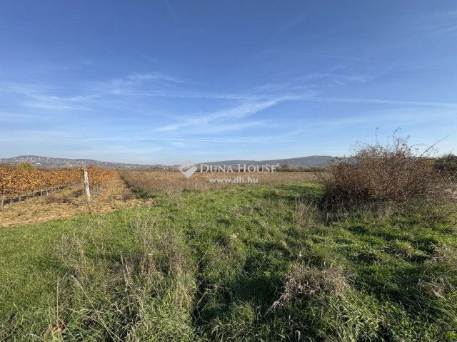 Eladó telek, Dörgicsén 44.5 M Ft / költözzbe.hu