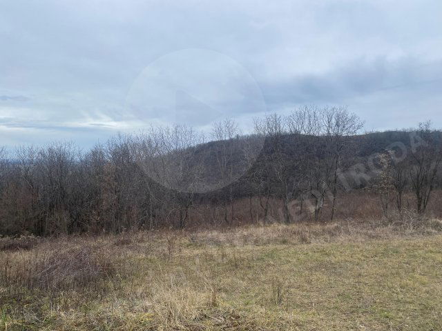 Eladó mezogazdasagi ingatlan, Szekszárdon 29.9 M Ft