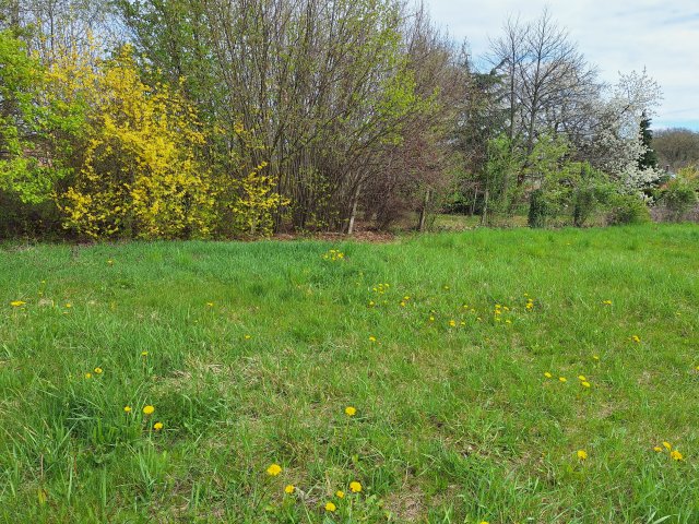 Eladó telek, Nemesbükön 17.9 M Ft / költözzbe.hu