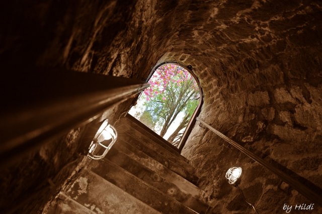 Eladó mezogazdasagi ingatlan, Andornaktályán 2.3 M Ft