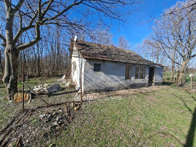 Eladó mezogazdasagi ingatlan, Petőfiszálláson 12 M Ft