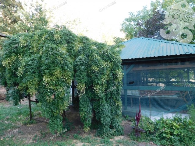 Eladó családi ház, Kiskunfélegyházán 32.9 M Ft, 4 szobás