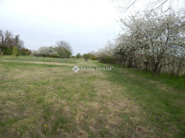 Eladó telek, Ságváron 24.5 M Ft / költözzbe.hu