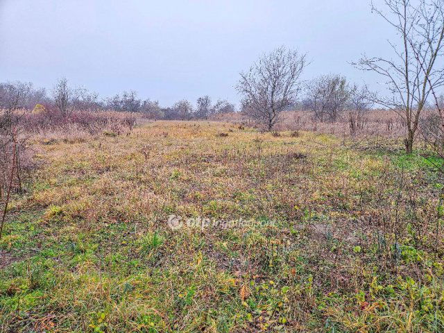 Eladó telek, Szigetszentmiklóson 15 M Ft / költözzbe.hu