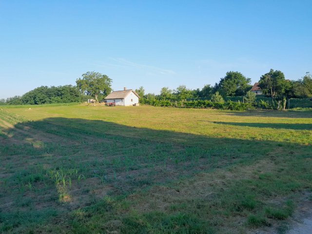 Eladó mezogazdasagi ingatlan, Buzsákon 19.9 M Ft