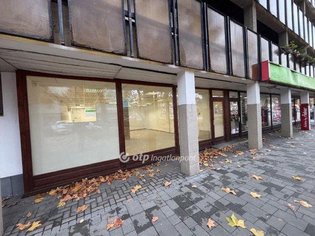Kiadó üzlethelyiség, Békéscsabán 320 E Ft / hó