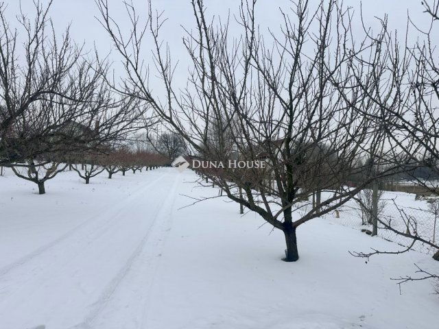 Eladó telek, Nyíregyházán 13 M Ft / költözzbe.hu