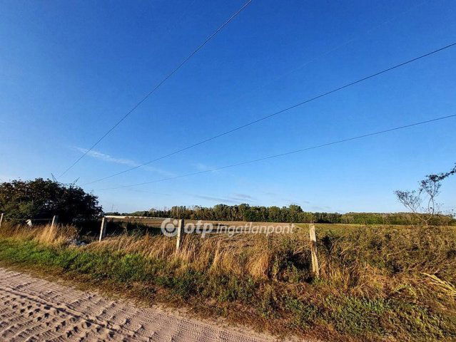 Eladó mezogazdasagi ingatlan, Ópusztaszeren 2.9 M Ft