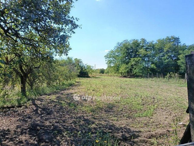 Eladó családi ház, Sárándon 32 M Ft, 2 szobás