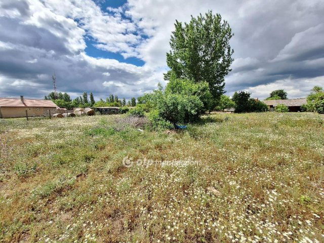 Eladó telek, Tiszakécskén 5.9 M Ft / költözzbe.hu