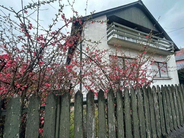 Eladó családi ház, Albertirsán 63.5 M Ft, 4 szobás