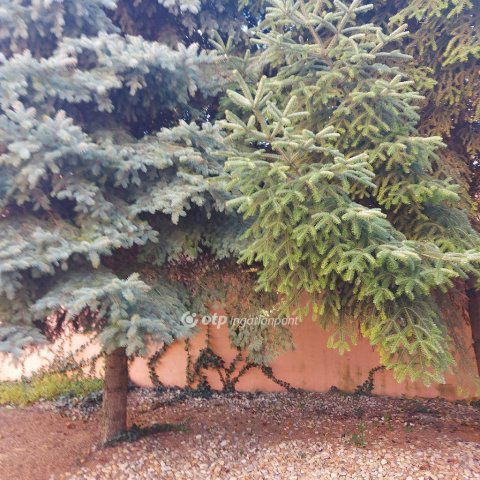 Eladó téglalakás, Budapesten, XX. kerületben 72 M Ft, 2 szobás