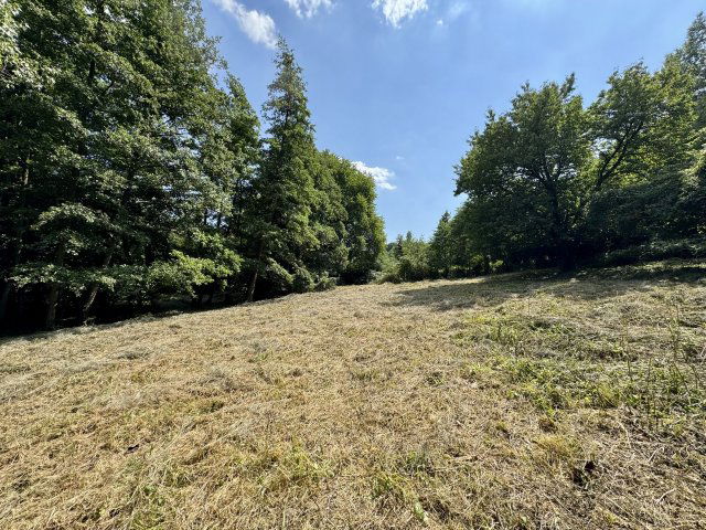 Eladó családi ház, Nagygörbőn 34.9 M Ft, 5 szobás