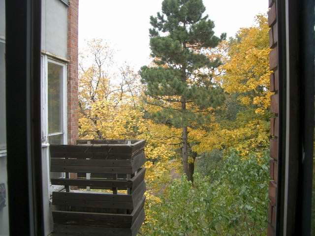 Kiadó téglalakás, albérlet, I. kerületben, Kocsány utcában