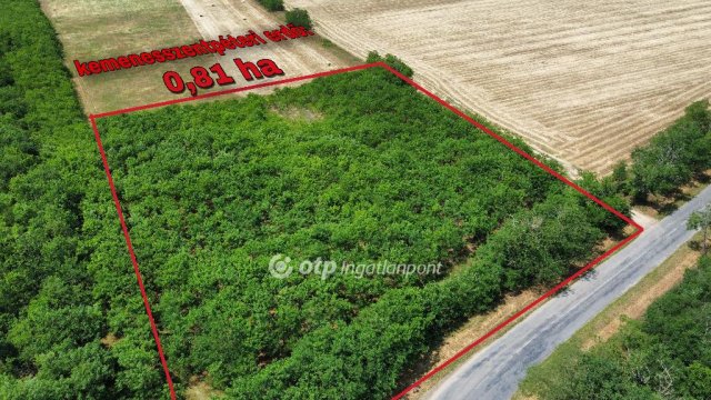 Eladó mezogazdasagi ingatlan, Magyargencsen 23.9 M Ft