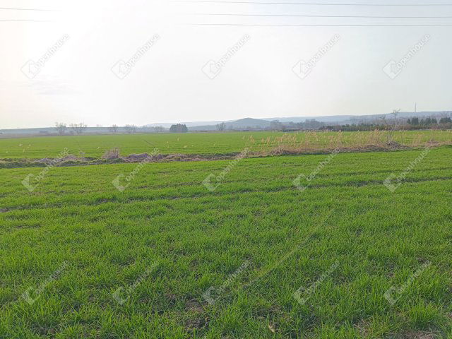 Eladó telek, Sopronban 22 M Ft / költözzbe.hu