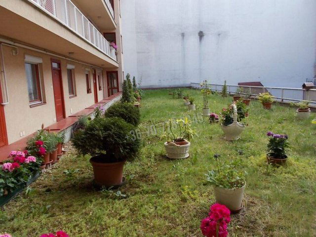 Kiadó téglalakás, albérlet, Békéscsabán, Andrássy úton