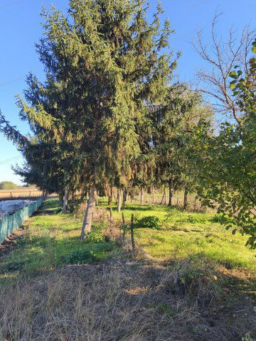 Eladó családi ház, Nyírtelken 14.9 M Ft, 2 szobás