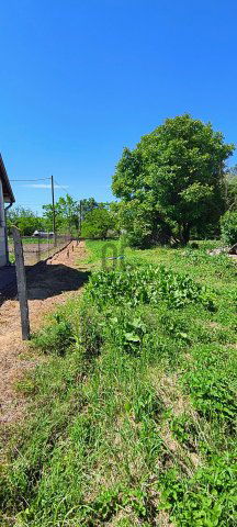 Eladó telek, Turán 6.4 M Ft / költözzbe.hu