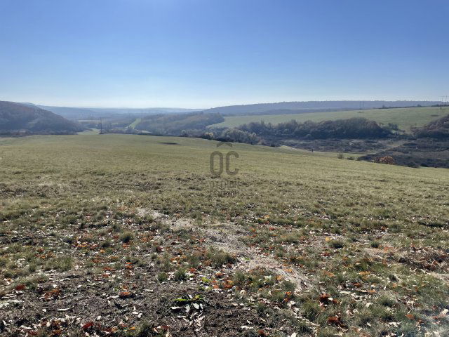 Eladó mezogazdasagi ingatlan, Kosdon 59 M Ft / költözzbe.hu