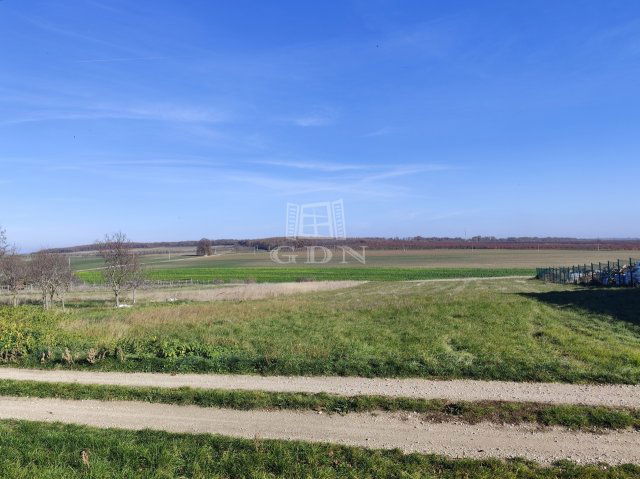 Eladó családi ház, Veszprémfajszon 68 M Ft, 3+1 szobás