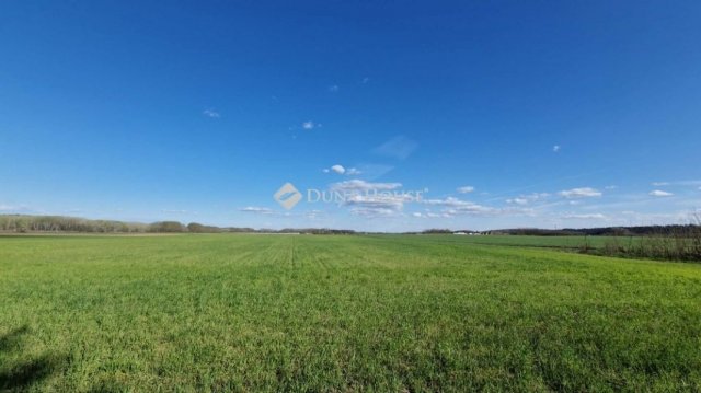 Eladó mezogazdasagi ingatlan, Sülysápon 40.5 M Ft