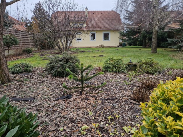 Eladó családi ház, Mosonmagyaróváron 135 M Ft, 5 szobás