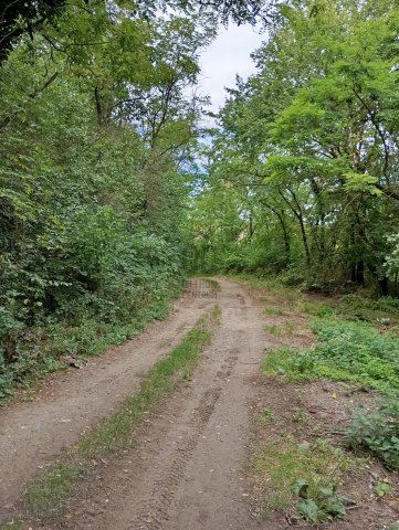 Eladó mezogazdasagi ingatlan, Alsónánán 4 M Ft