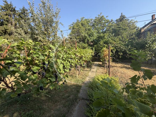 Eladó családi ház, Pécsett, Torda utcában 78 M Ft, 3 szobás