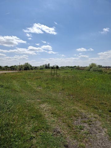 Eladó telek, Algyőn 570 M Ft / költözzbe.hu