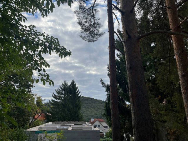 Eladó családi ház, Solymáron 113 M Ft, 4 szobás