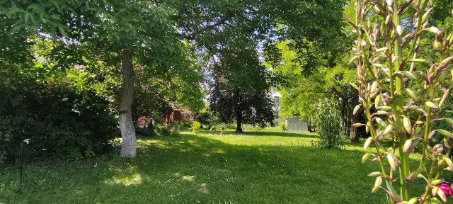 Eladó telek, Kéthelyen 25 M Ft, 1 szobás / költözzbe.hu