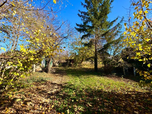 Eladó családi ház, Tarcalon 25 M Ft, 3 szobás