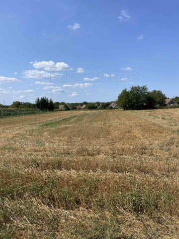 Eladó mezogazdasagi ingatlan, Balatonszabadiban 9.999 M Ft